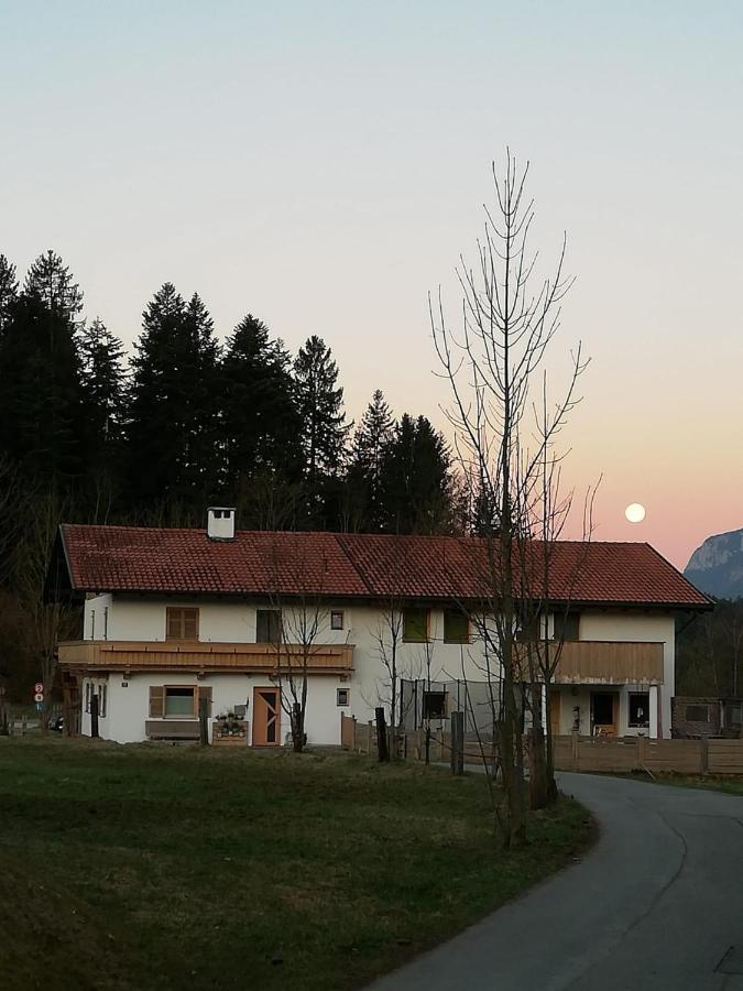 Ferienwohnung Frieda Элльмау Экстерьер фото